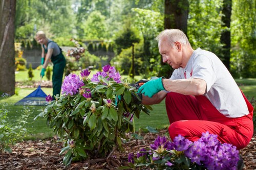 Volunteers tending plants in a Rotherhithe garden, close-up of hands planting seedlings