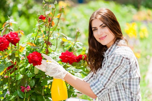 Close-up of a client documenting a garden issue
