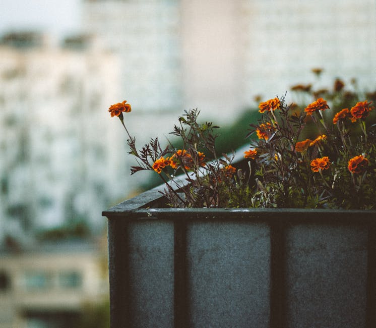 A close-up view of a balcony garden planter box filled with a variety of colorful flowering plants, including red, purple, and white blooms, with lush green leaves. The container appears to be made of
